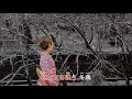 『新曲』 冬燕 :若山かずさ cover てるちゃん 2018年5月23日発売