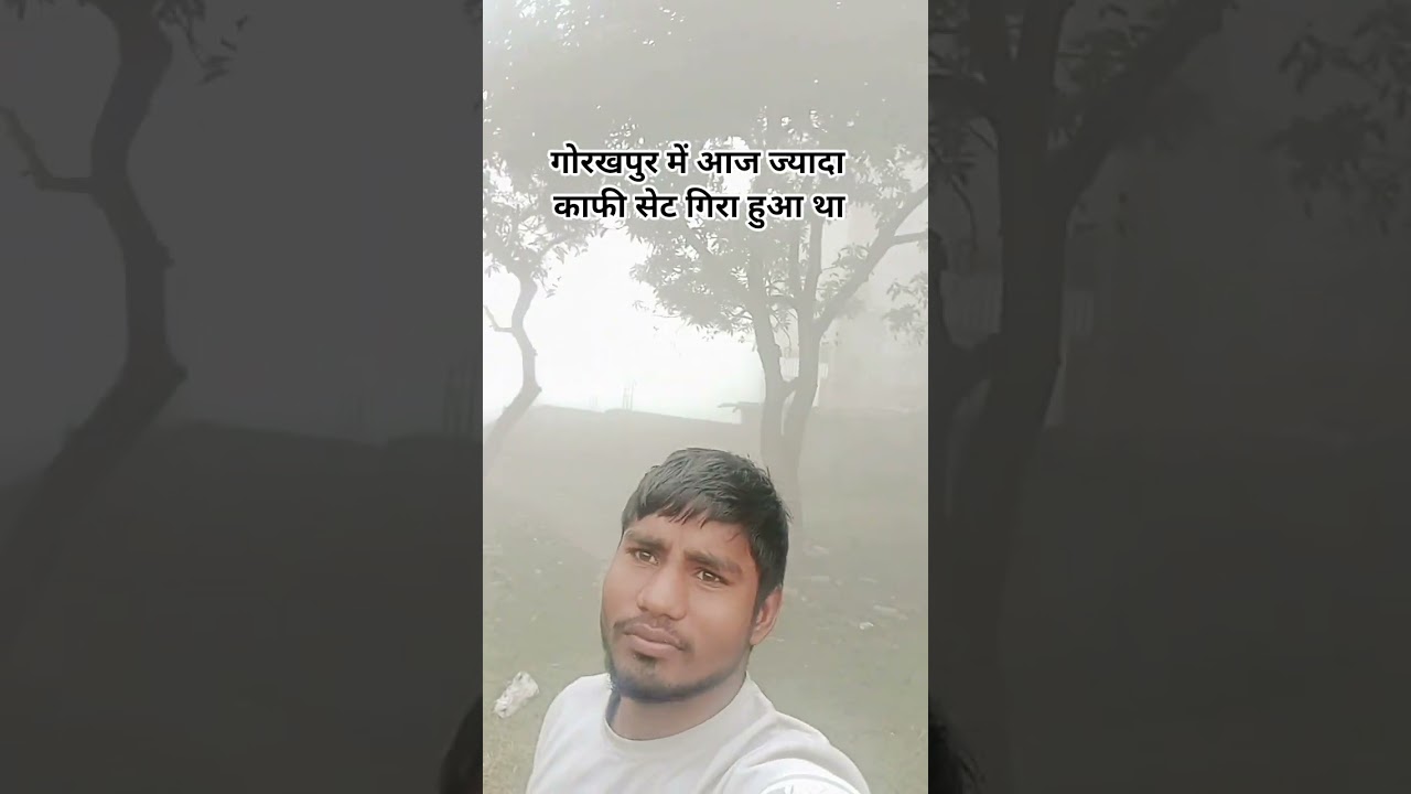 blog tutorial mini vlog songs