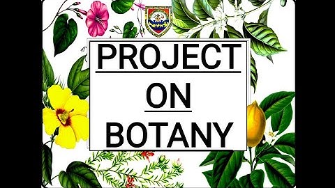 Project On Botany / #amorphophalluspaeoniifolius #amorphophallus