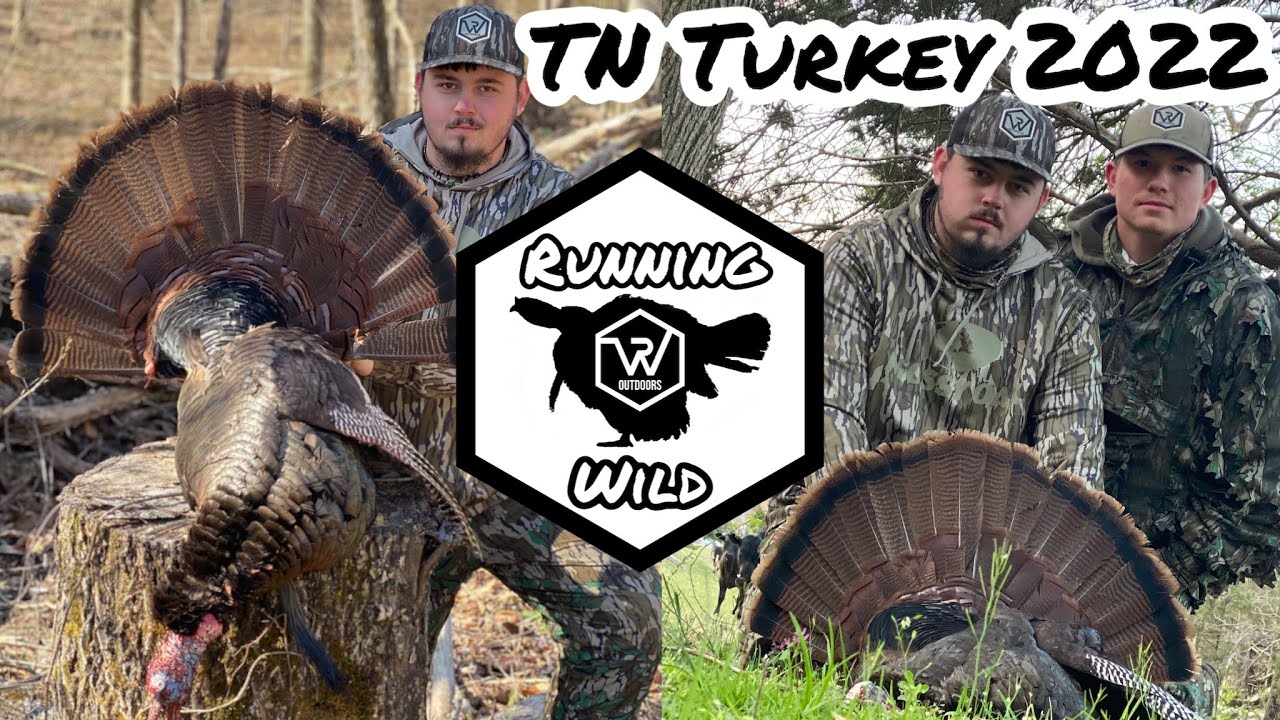Turkey Hunting TN Big Gobbler Down YouTube
