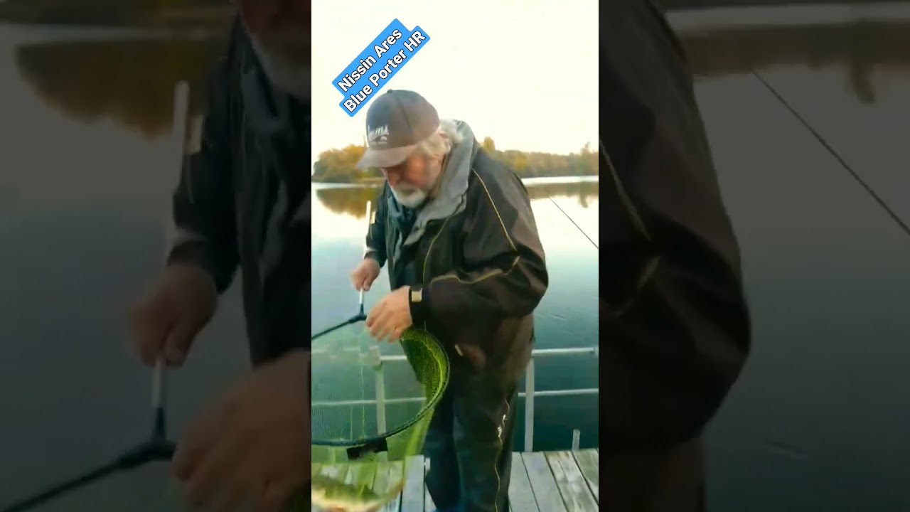 Здоровенні Дніпровські окуняки на Nissin Blue Porter HR. 