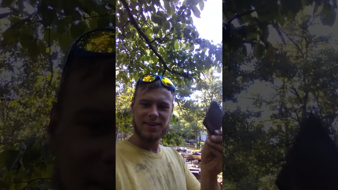 Poptart preferences?