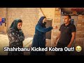 Shahrbanu kicked Kobra out of the house! 😭 When Qasim returned, everything was ruined.