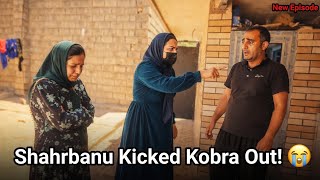 Shahrbanu kicked Kobra out of the house! 😭 When Qasim returned, everything was ruined.