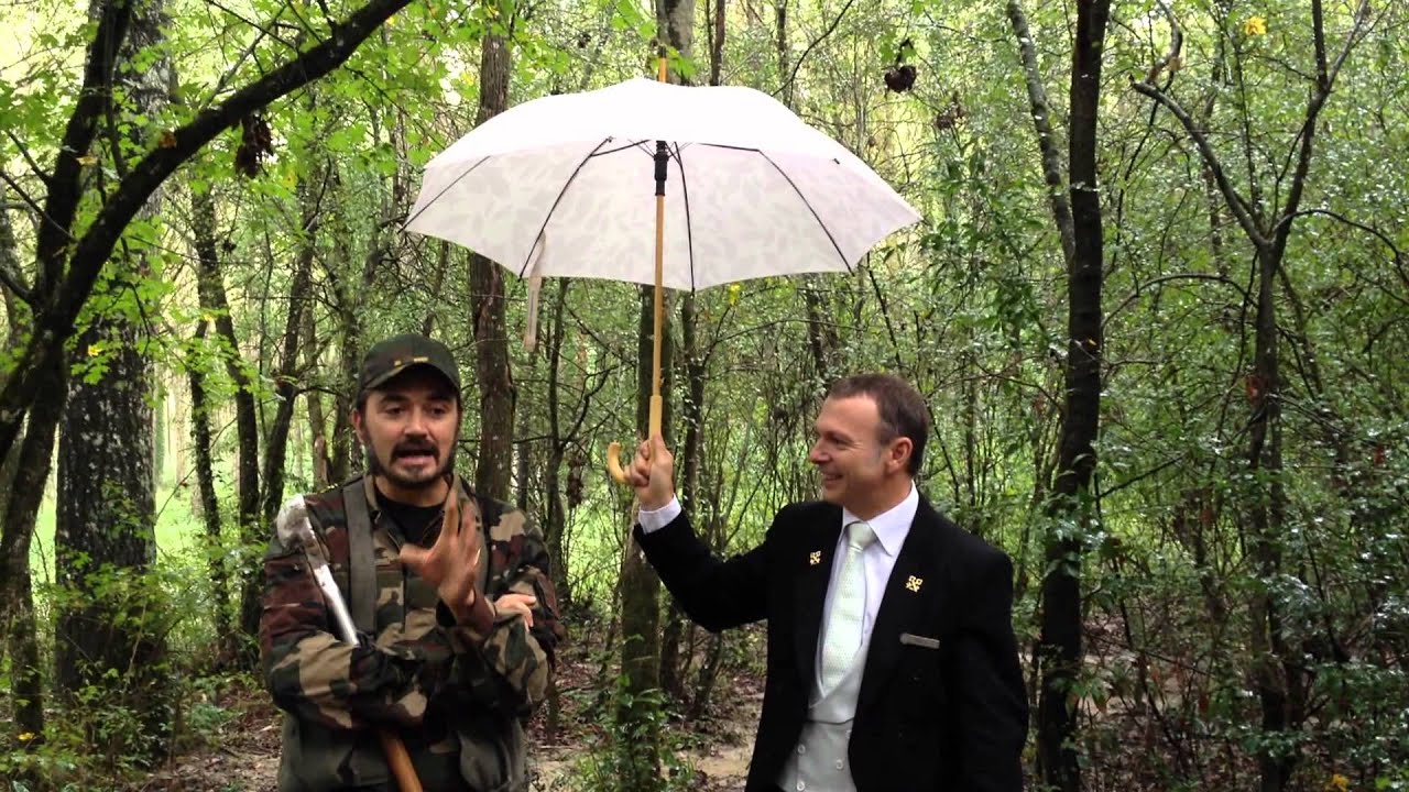 Truffle hunting in Tuscany with Four Seasons YouTube