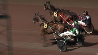 Vidéo de la course PMU PRIX STOLOPP