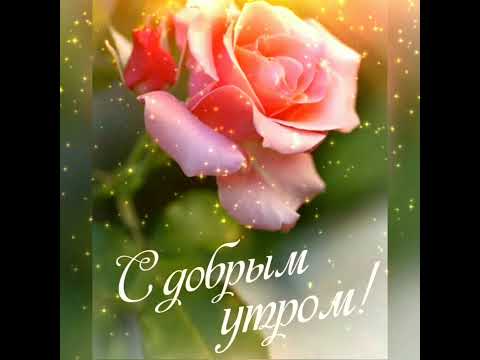 С добрым утром.