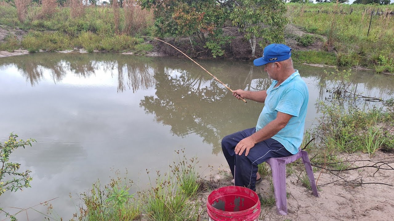 ISCA VIVA BEM MELHOR  PARA OS BRUTO  CHEGAR NO ANZOL 