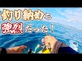 冬は大物の季節！ 年末 釣り納めは大満足の釣行に！