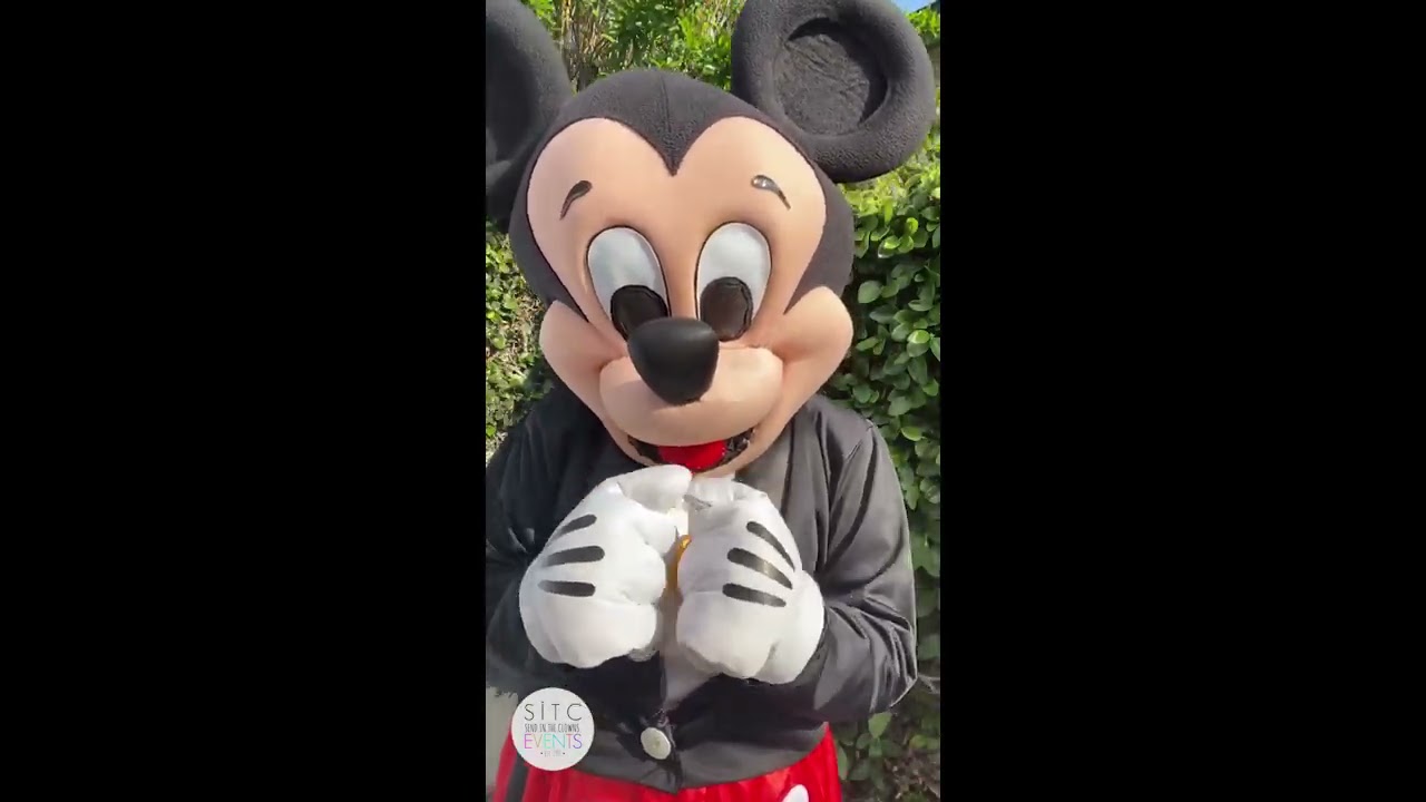 Party In Place™️ Virtual Visit Disney Character Natural Setting