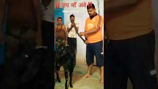 jaipur malwa nimach mundanceremony mundansanskar devidevta       
