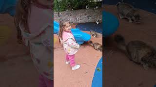 Kedilerin Dadısı #cat #cats  #funny #cute #babygirl