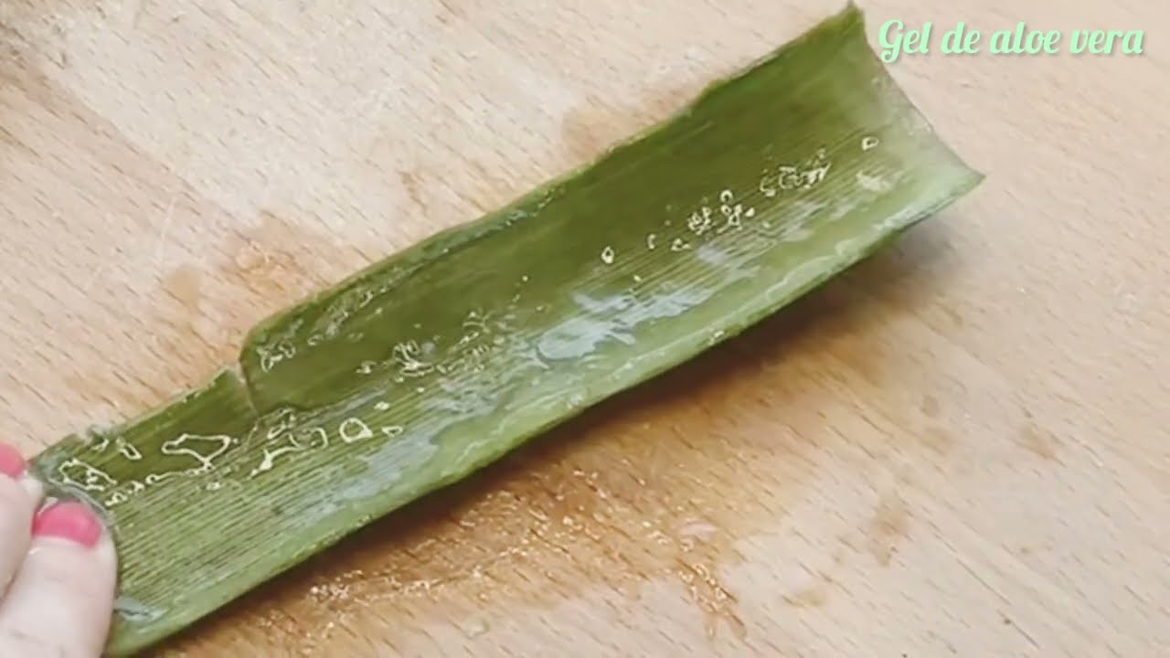 GEL DE ALOE VERA CASERO