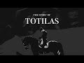 In memory of Totilas - (2000-2020)