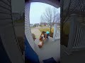 No One Is Safe From This Porch 💥