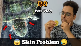 Turtle ki skin nikal ne ka problem and treatment | Turtle skin shedding problem and it's treatment