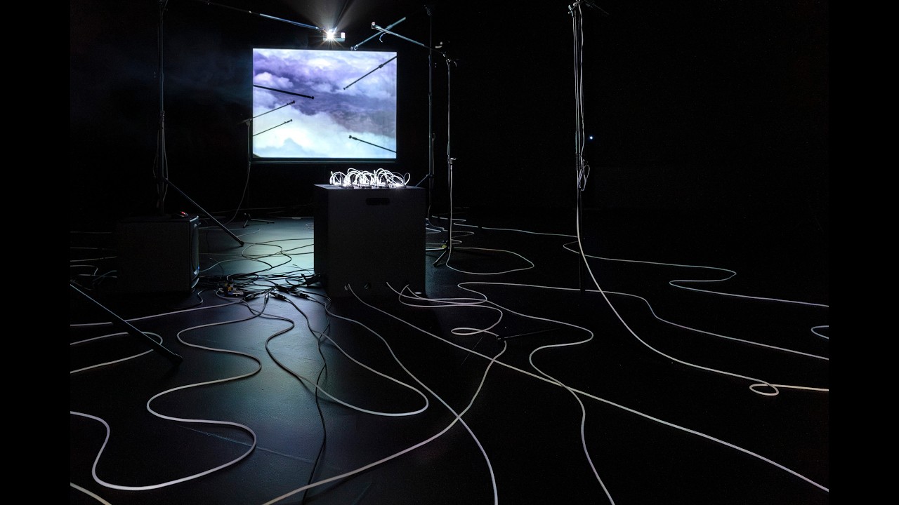 Extrait de l'installation Résurgences Mnémosynes_ Noëlie Plé_Alexis Choplain_2025