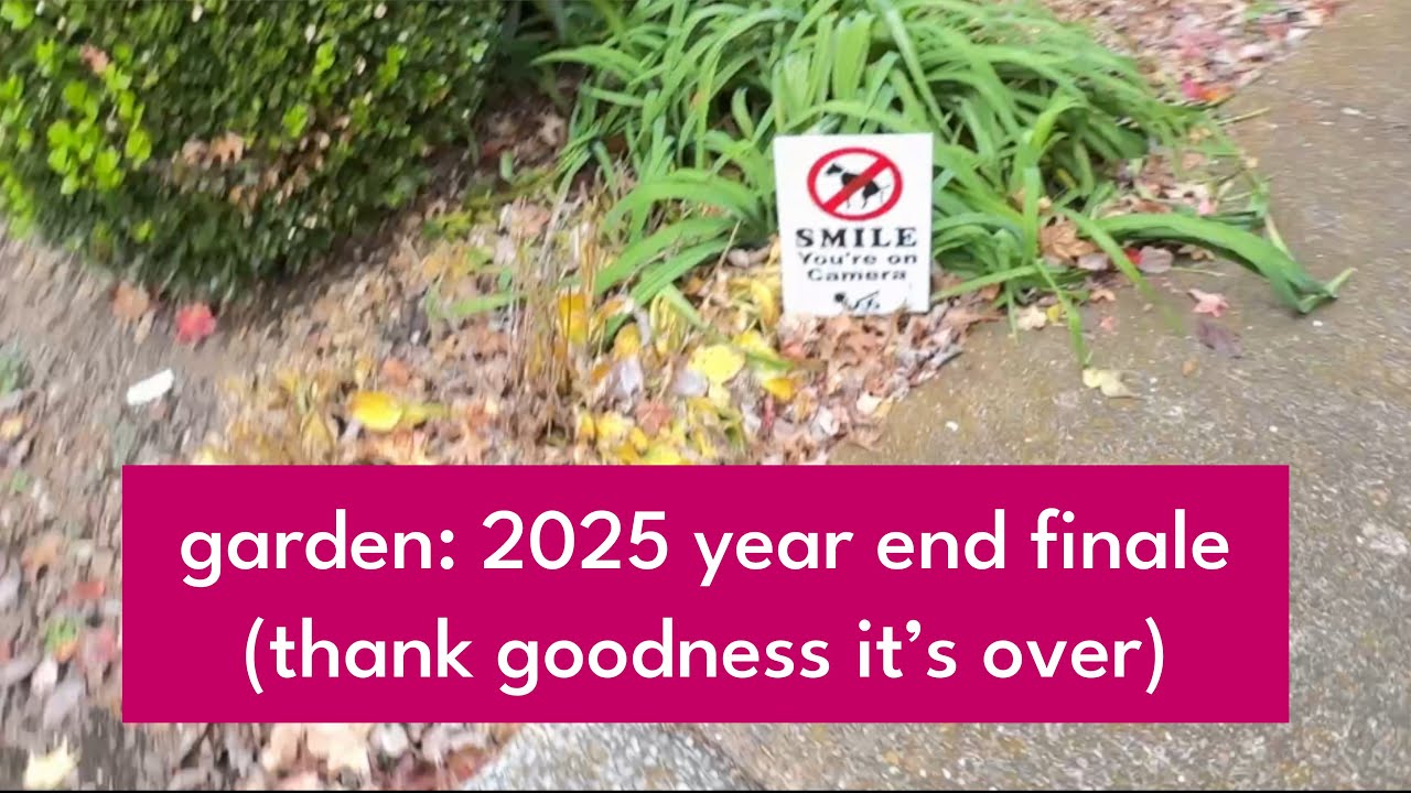 GARDEN: 2025 Year End Finale (thank goodness it’s over)