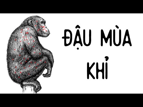 Video ĐẬU MÙA KHỈ LÀ GÌ? - youtube