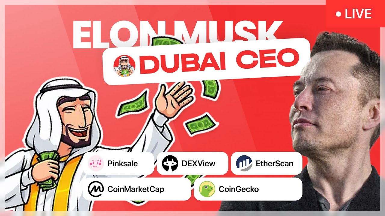 Elon Musk's Investment in DubaiCEO Fuels Crypto Revolution Incentive
