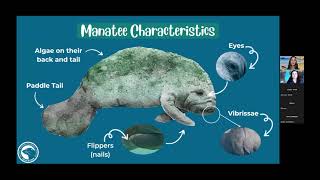 Manatee Webinar 03-04-2024