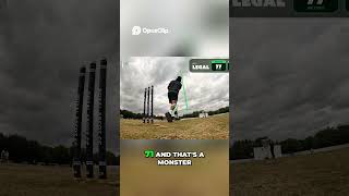 illegal bat part- 2