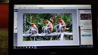 cara membuat efek blur pada gambar bitmap di aplikasi Photoshop screenshot 5