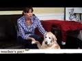Keep a Dog Calm During Thunderstorms | Teacher's Pet With Victoria Stilwell Keep a Dog Calm During Thunderstorms | Teacher's Pet With Victoria Stilwell