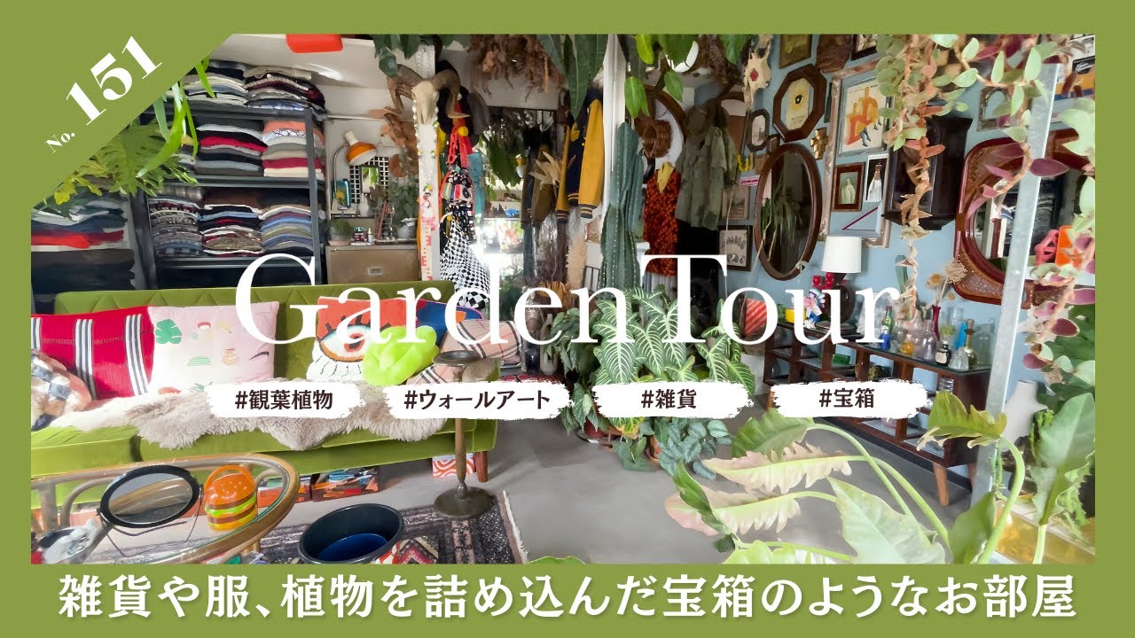 町田市 取引限定】観葉植物ラックと、観葉植物 100cm✖️100cm 観葉
