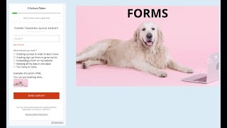 Action Network Training: Using Forms to Grow and Know Your List!