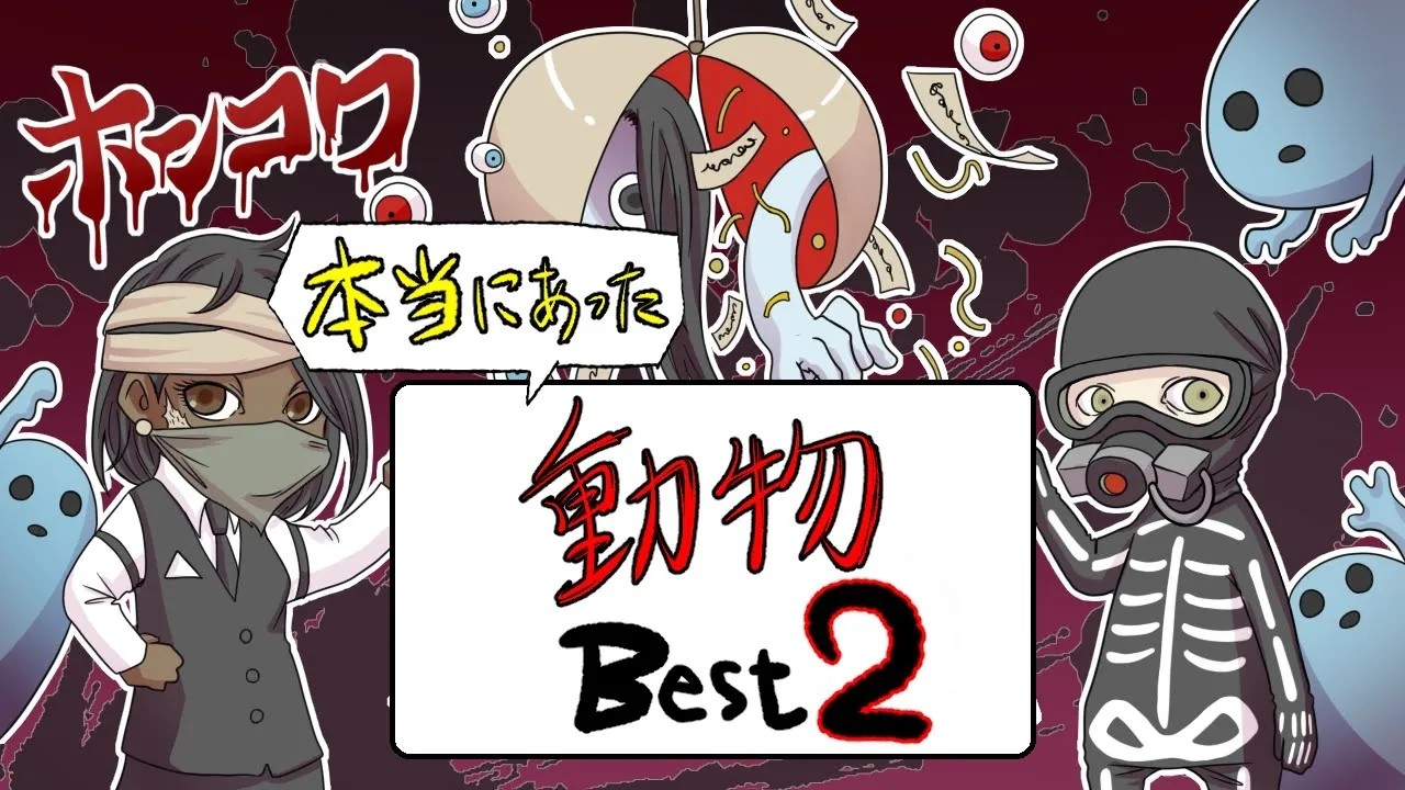 【特別総集編企画】ホンコワスタッフが選ぶ「動物」2選 【2チャンネル怖い話】【ホンコワ】【ゾクッと】