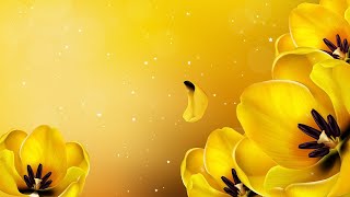 Весенний Футаж Желтый Фон - Для Поздравления С Праздником Весны, 8 Марта, День Рождения.