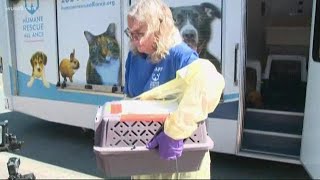 These animals were rescued from Oklahoma flooding. Now you can give them a permanent home in DC