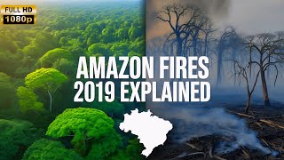 2019 Amazon Rainforest Wildfires Amazon Rainforest Doentary