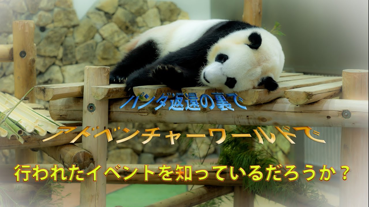 パンダ返還の裏で【アドベンチャーワールド】で行われたイベント