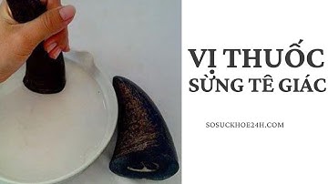 VỊ THUỐC SỪNG TÊ GIÁC - Thanh huyết, giải độc, định kinh