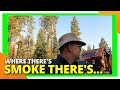 How we're working hard to protect our off grid cabin from forest fires