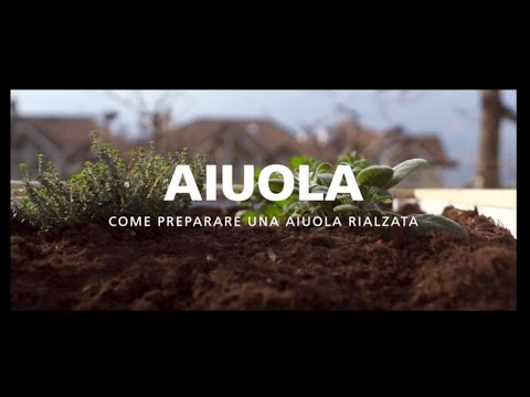 Video: Aiuola Rialzata