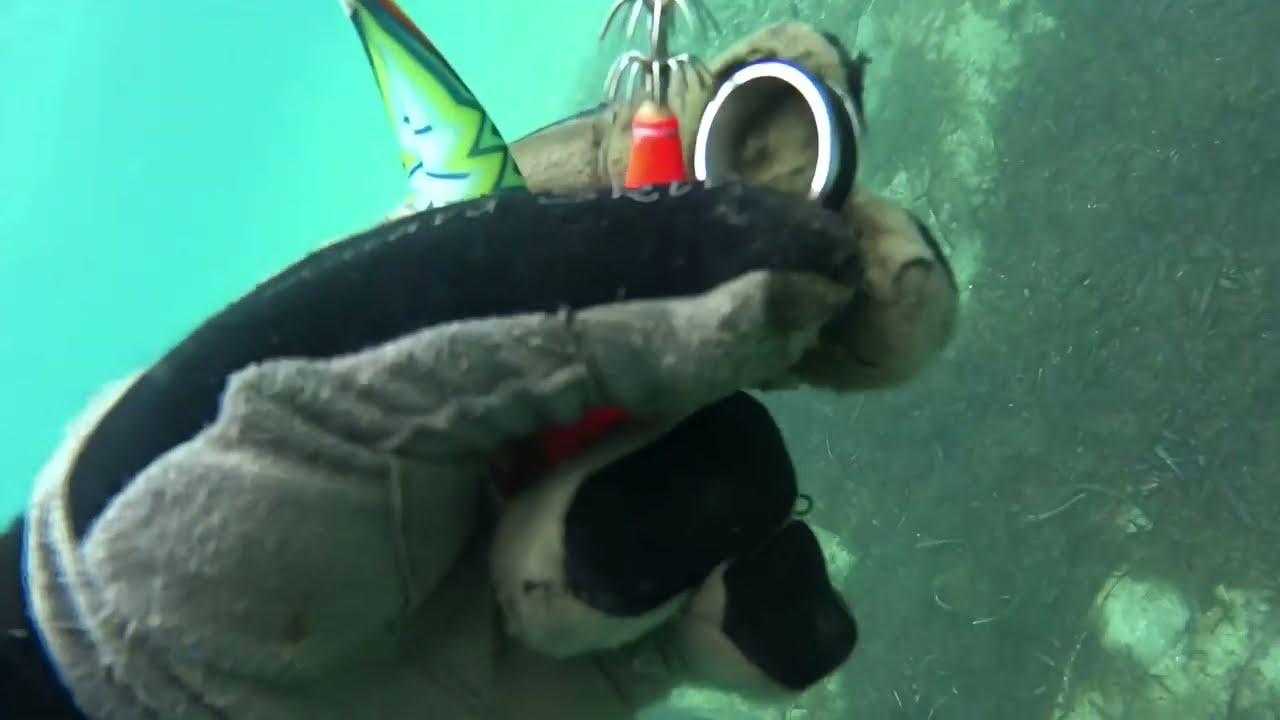 🤿 🌊 Detectando Metales en Apnea🪏: Uso mi Abanico para Tesoros 🪙🪭#metaldetecting #metaldetector #fypシ