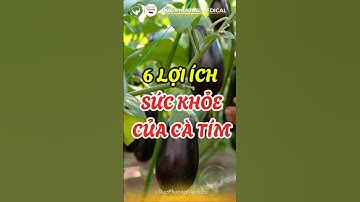 6 LỢI ÍCH SỨC KHỎE CỦA CÀ TÍM
