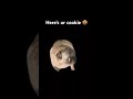 Sub and I sub back