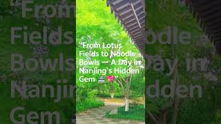 “From Lotus Fields to Noodle Bowls — A Day in Nanjing’s Hidden Gem 🏯💖”