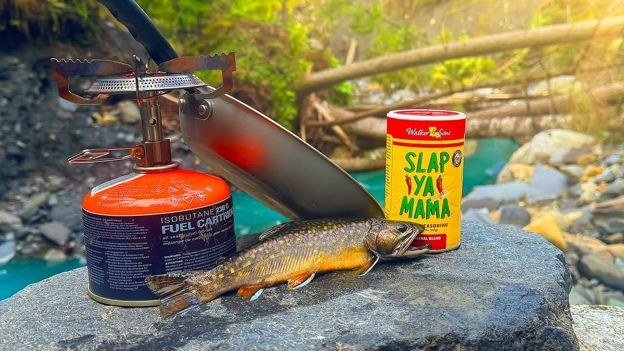 Brook Trout Catch and Cook and Exploring a Shallow Creek!