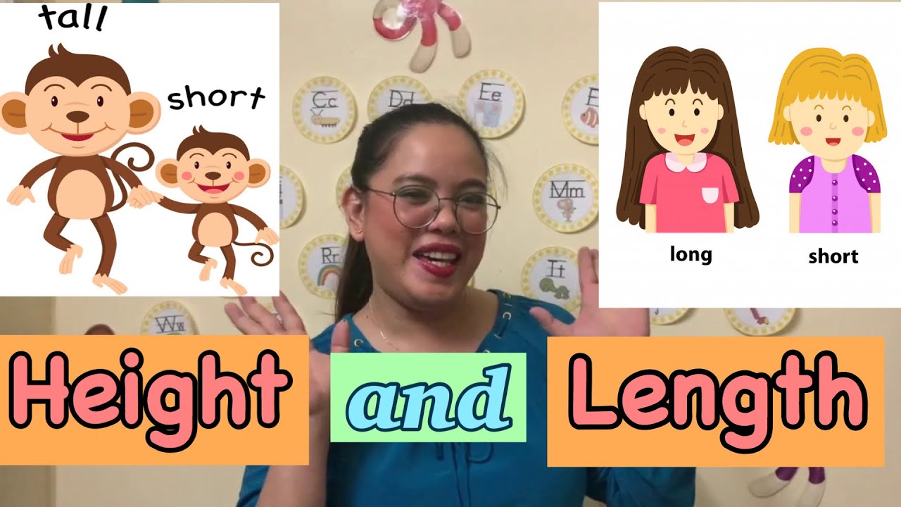 Height Vs Length : 6 Difference between Length and Height (With Table ...