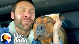 He Thought Was Rescuing A 'Very Aggressive Dog'...But Then They Met | The Dodo