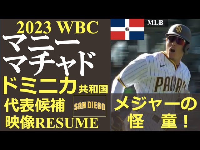 メジャーリーガーレジュメ第57回】“メジャーの怪童!”” / マニー