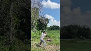 wild animal capture action #shortvideo #nature