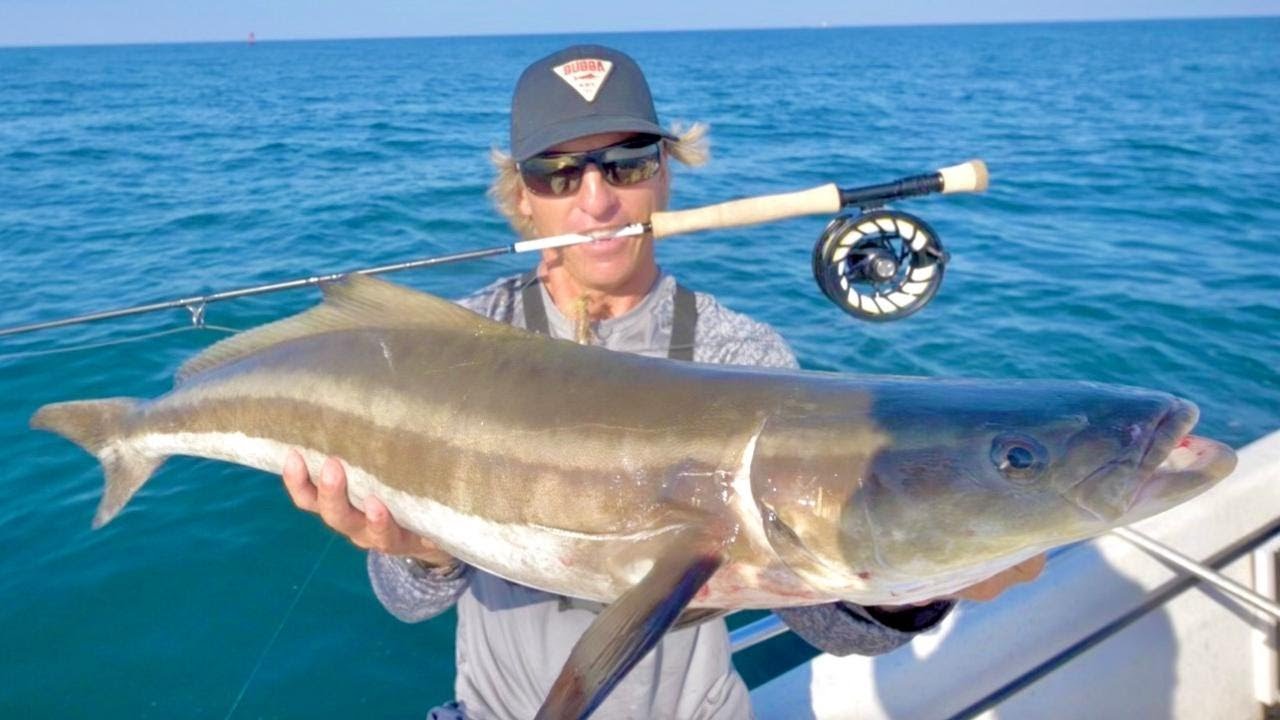 CATCHING COBIA ON A FLY FISHING ROD! Saltwater Fly Fishing YouTube