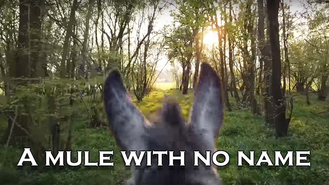 I Built An Offroad Mule and We Went ASMR Offroading in the Woodland!