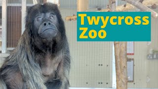 Twycross Zoo